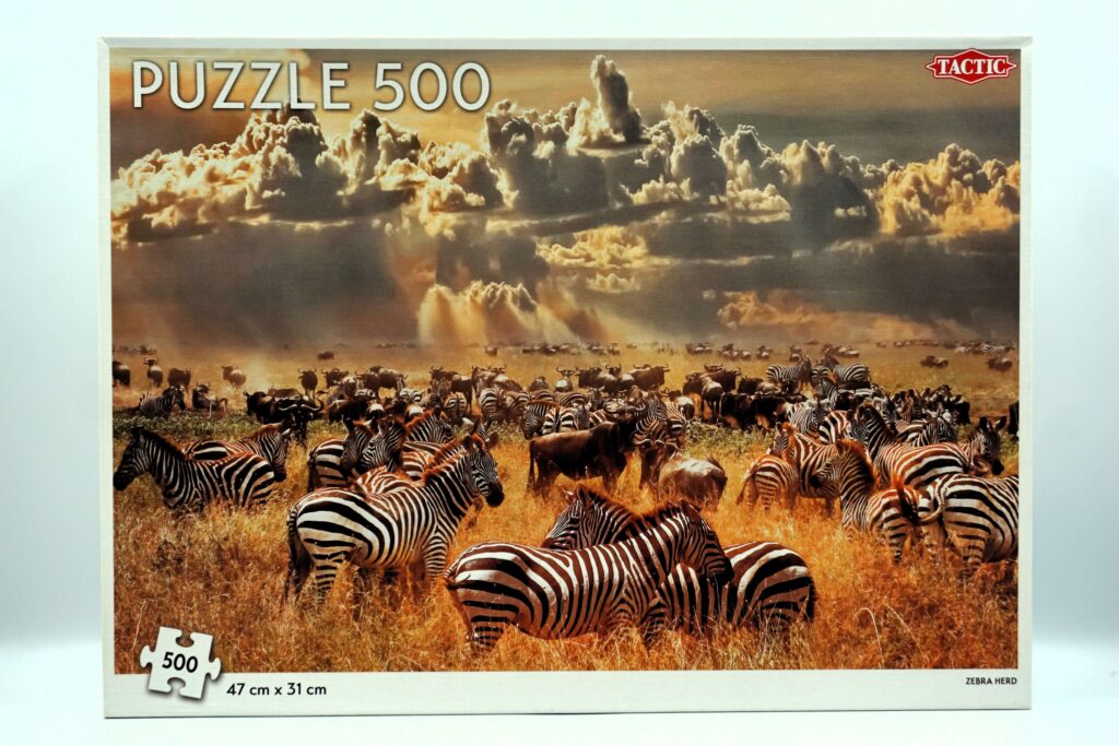 Tactic - Zebra Herd - 500 bitar (359) fram