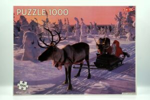 Tactic - Santa Claus in Sleigh - 1000 bitar (593) fram